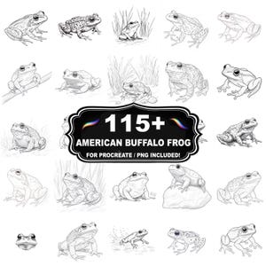 May include: A collection of black and white illustrations of frogs in various poses. The image includes the text "115+ AMERICAN BUFFALO FROG FOR PROCREATE / PNG INCLUDED!" in a black and white banner.