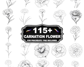 Más de 115 sellos de flores de clavel para Procreate, paquete de imágenes PNG de flores, descarga instantánea.