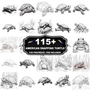 Könnte beinhalten: Sammlung detaillierter Schwarz-Weiß-Illustrationen von amerikanischen Schnappschildkröten in verschiedenen Posen. Der Text "115+ AMERICAN SNAPPING TURTLE" wird in einem schwarzen Rahmen angezeigt, mit "FOR PROCREATE / PNG INCLUDED!" darunter.