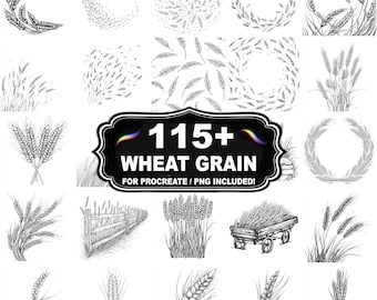 Más de 115 sellos de Procreate con diseño de granos de trigo, paquete de imágenes PNG de trigo, descarga instantánea.