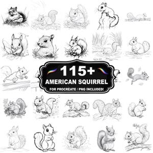 108+ American Squirrel Design Stamps, Squirrel Wildlife Illustration Set, Instant Download