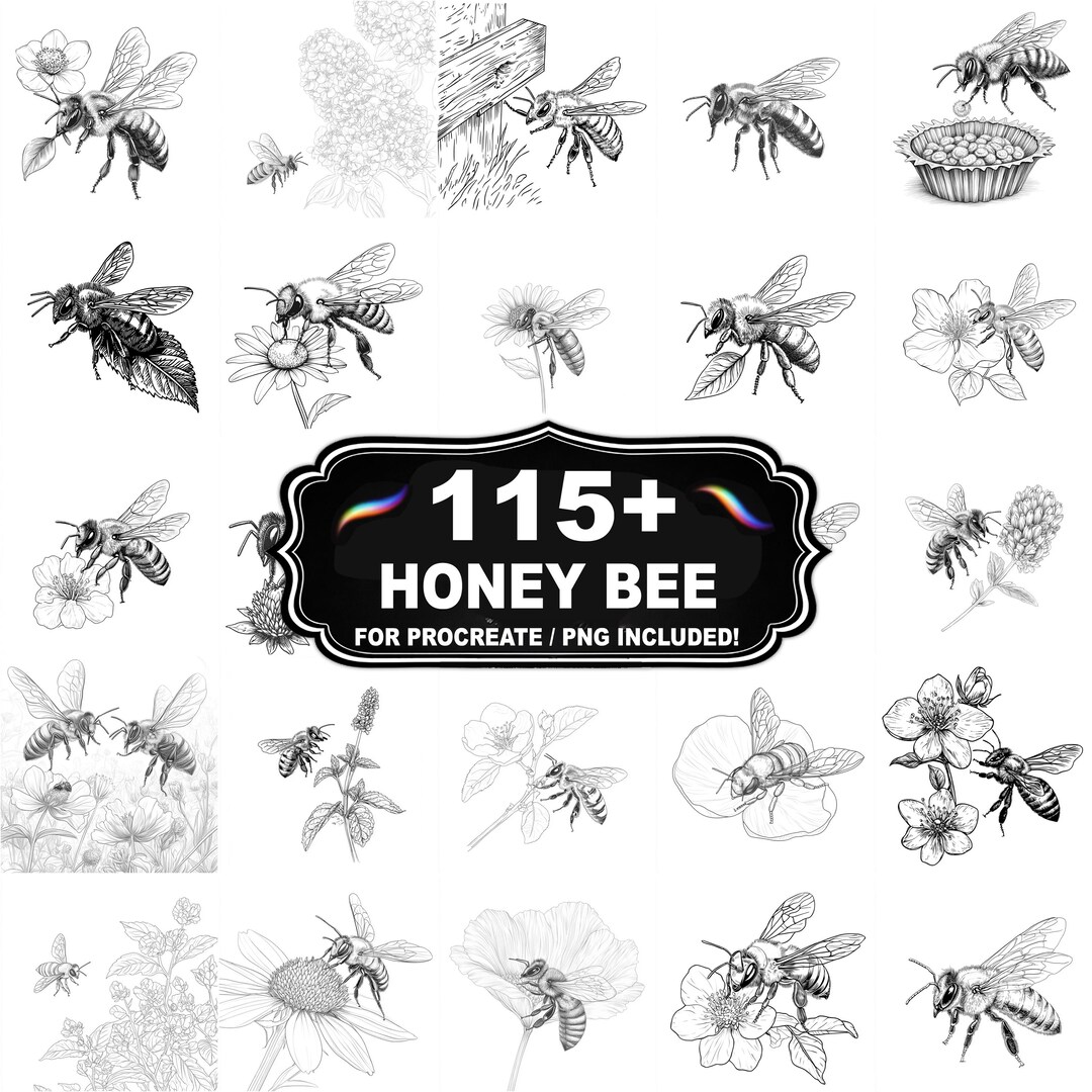 115+ Honey Bee Scene Stamps for Procreate, Garden Insect Brush Set ...