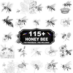 Puede incluir: Una colección de ilustraciones en blanco y negro de abejas, flores y plantas. La imagen incluye el texto "115+ HONEY BEE FOR PROCREATE / PNG INCLUDED!" en un marco en blanco y negro.