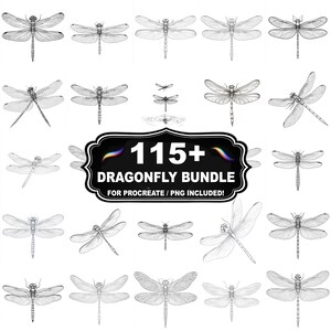 May include: A collection of 20+ detailed dragonfly illustrations in various poses, rendered in black and white. The image includes a central graphic that reads "115+ DRAGONFLY BUNDLE" with the text "FOR PROCREATE / PNG INCLUDED!"