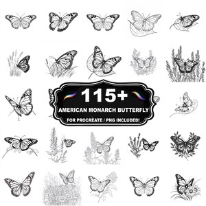 115+ Monarch Butterfly Procreate Stamps, Butterfly png bundle, Instant Download