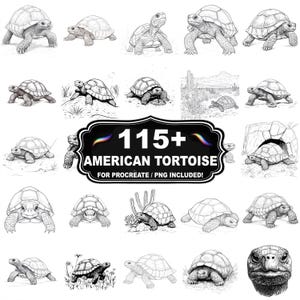 May include: A collection of grayscale illustrations of American tortoises in various poses and settings. The images include detailed drawings of the tortoises, some with plants and desert landscapes. The text "115+ AMERICAN TORTOISE" is displayed on a black banner.