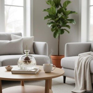 Puede incluir: Un kit de cultivo de aguacate de vidrio transparente con un hueso de aguacate suspendido en agua, ra&iacute;ces visibles. Una taza blanca peque&ntilde;a con vapor ascendente se encuentra sobre una mesa de centro de madera. Una planta en maceta y dos sof&aacute;s grises est&aacute;n en el fondo.