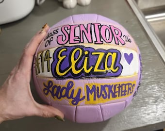 hand painted volleyball