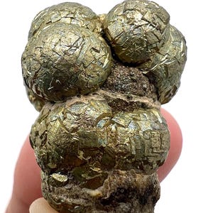 Könnte beinhalten: Ein Pyrit-Cluster, auch bekannt als Katzengold, mit metallisch goldener Farbe und kristalliner Struktur. Die Pyritformation hat eine abgerundete, blasenartige Form und sitzt auf einer dunkelbraunen Matrix. Die Probe wird in einer Hand gehalten.