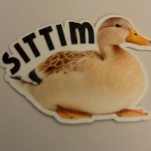 K&ouml;nnte beinhalten: Ein Aufkleber mit einer realistischen Darstellung einer Ente mit braunen und beigen Federn, einem gelben Schnabel und dem Wort "SITTIM" in schwarzen Buchstaben dar&uuml;ber. Der Aufkleber hat einen wei&szlig;en Rand und dient wahrscheinlich dekorativen Zwecken.