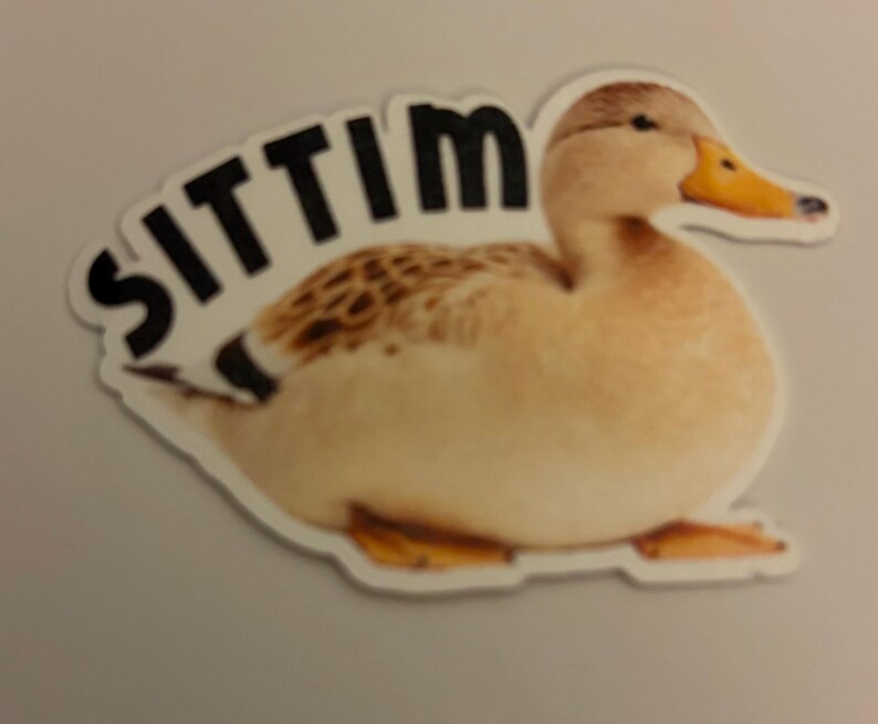 K&ouml;nnte beinhalten: Ein Aufkleber mit einer realistischen Darstellung einer Ente mit braunen und beigen Federn, einem gelben Schnabel und dem Wort "SITTIM" in schwarzen Buchstaben dar&uuml;ber. Der Aufkleber hat einen wei&szlig;en Rand und dient wahrscheinlich dekorativen Zwecken.