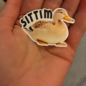 K&ouml;nnte beinhalten: Ein Aufkleber mit einer Cartoon-Ente mit gelbem Schnabel und F&uuml;&szlig;en. Die Ente hat einen hellbraunen K&ouml;rper mit dunkleren braunen Markierungen auf dem R&uuml;cken. Das Wort "SITTIM" ist in schwarzen Buchstaben &uuml;ber der Ente aufgedruckt.