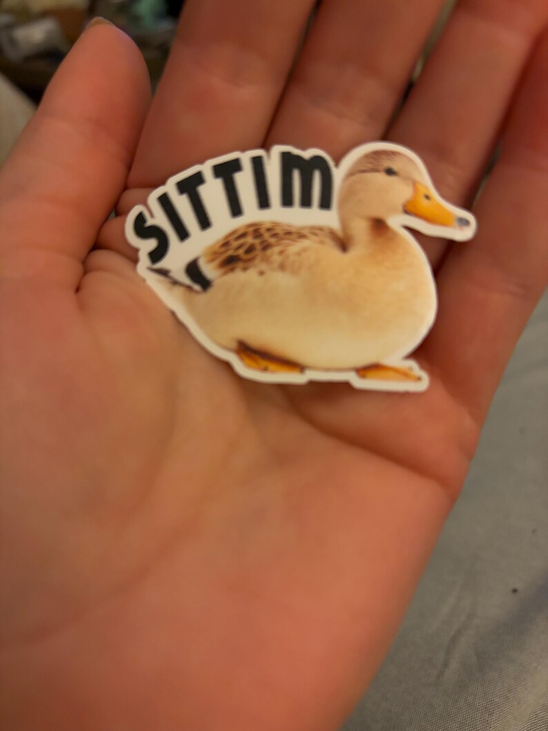 K&ouml;nnte beinhalten: Ein Aufkleber mit einer Cartoon-Ente mit gelbem Schnabel und F&uuml;&szlig;en. Die Ente hat einen hellbraunen K&ouml;rper mit dunkleren braunen Markierungen auf dem R&uuml;cken. Das Wort "SITTIM" ist in schwarzen Buchstaben &uuml;ber der Ente aufgedruckt.