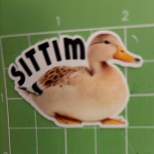 K&ouml;nnte beinhalten: Ein Aufkleber mit einer Cartoon-Ente mit dem Wort "SITTIN" dar&uuml;ber. Die Ente hat einen hellbraunen K&ouml;rper, einen dunkleren braunen Fleck auf dem R&uuml;cken und einen orangefarbenen Schnabel und F&uuml;&szlig;e. Der Aufkleber befindet sich auf einer gr&uuml;nen Oberfl&auml;che.