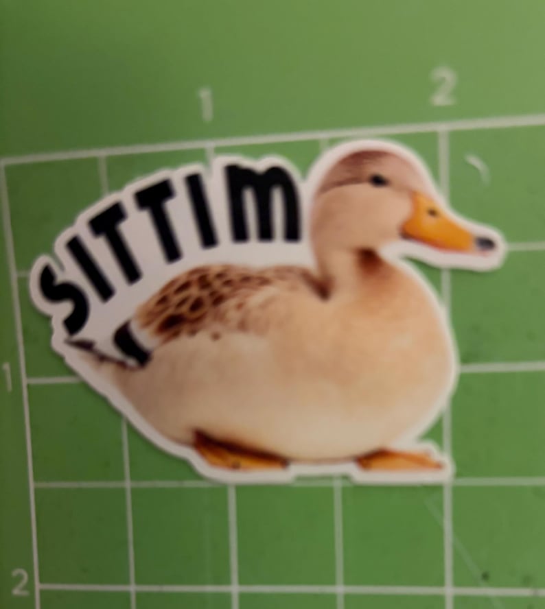 K&ouml;nnte beinhalten: Ein Aufkleber mit einer Cartoon-Ente mit dem Wort "SITTIN" dar&uuml;ber. Die Ente hat einen hellbraunen K&ouml;rper, einen dunkleren braunen Fleck auf dem R&uuml;cken und einen orangefarbenen Schnabel und F&uuml;&szlig;e. Der Aufkleber befindet sich auf einer gr&uuml;nen Oberfl&auml;che.