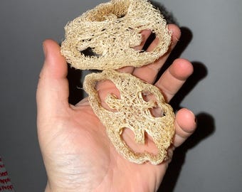 2x natural loofah chew toys for small animals (hamsters, mice, gerbils, guinea pigs, rabbits, rats)