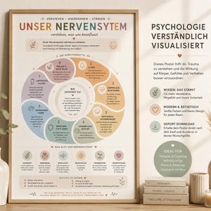 Op de afbeelding: Een ingelijste educatieve poster getiteld Unser Nervensystem met een centraal cirkelvormig diagram in pastelkleuren dat traumareacties illustreert. De poster bevat Duitse tekst, genummerde stappen en informatie over ondersteuning van het zenuwstelsel.