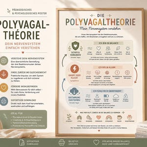 Könnte beinhalten: Ein gerahmtes pädagogisches Poster mit dem Titel Die Polyvagaltheorie, das ein Diagramm des Nervensystems mit drei farbcodierten Zuständen zeigt: Grün für sicher und verbunden, Orange für Kampf oder Flucht und Blau für Erstarrung, mit deutschem Text.