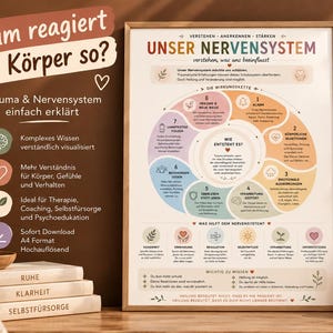 Könnte beinhalten: Ein gerahmtes A4-Poster mit dem Titel Unser Nervensystem, das ein kreisförmiges Diagramm zu Trauma und Nervensystem zeigt. Das Poster enthält pastellfarbene Abschnitte, deutschen Text und Symbole und steht in einem hellen Holzrahmen auf einem Tisch.