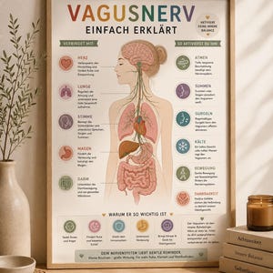 Op de afbeelding: Een ingelijste educatieve poster getiteld VAGUSNERV EINFACH ERKLÄRT, met een centrale anatomische illustratie van het menselijk zenuwstelsel verbonden met organen, omringd door Duitse tekstlabels en iconen over de functies.