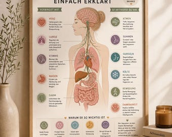May include: A framed educational poster titled VAGUSNERV EINFACH ERKLÄRT, featuring a central anatomical illustration of the human nervous system connected to major organs, surrounded by German text labels and icons explaining its functions.