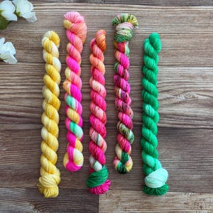 May include: Five twisted skeins of yarn arranged vertically. The first is solid yellow, the second features pink, orange, and light green, the third is pink and orange, the fourth is a variegated mix of pink, green, and white, and the fifth is solid green.