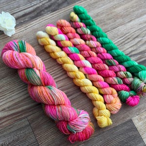 May include: A large skein of variegated yarn in shades of pink, orange, and green, accompanied by five smaller mini-skeins in solid and variegated colors including yellow, bright pink, orange, and green, arranged in a parallel row.