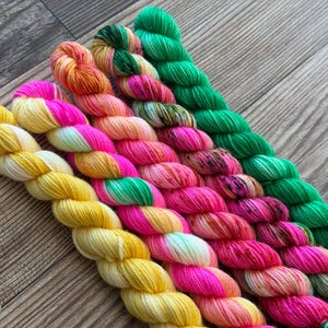 May include: Five skeins of hand-dyed yarn arranged diagonally. The colors include a solid bright yellow, a vibrant hot pink, a soft peach and orange blend, a variegated pink and green mix, and a solid vivid green. Each skein is twisted.