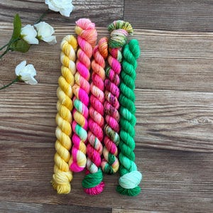 May include: Five twisted skeins of yarn arranged vertically. The colors include solid bright yellow, neon pink with white accents, a variegated blend of orange and pink, a multi-colored mix of green and pink, and a solid vibrant green.