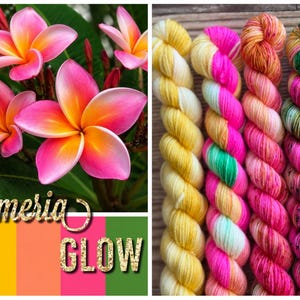May include: Five skeins of yarn arranged vertically, featuring colorways of solid yellow, a variegated mix of pink, yellow, and green, a speckled orange and pink, a variegated pink and green, and solid green. The text Plumeria GLOW is visible.