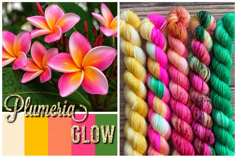 May include: Five skeins of yarn arranged vertically, featuring colorways of solid yellow, a variegated mix of pink, yellow, and green, a speckled orange and pink, a variegated pink and green, and solid green. The text Plumeria GLOW is visible.