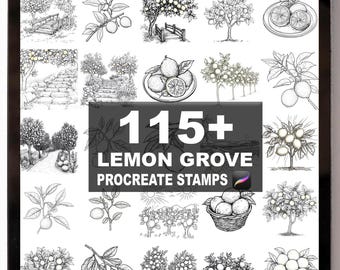 Mais de 115 pincéis de pomar de limões para Procreate | Carimbos para Procreate | Download digital instantâneo