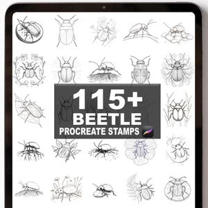 May include: A digital tablet displays a collection of 115+ beetle Procreate stamps. The black and white illustrations showcase various beetle species, with detailed line art and botanical elements. The text "115+ BEETLE PROCREATE STAMPS" is prominently displayed.