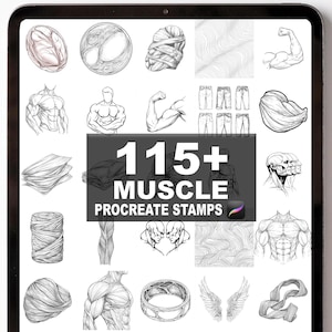 May include: A digital tablet displays a collection of muscle anatomy illustrations. The image features various sketches of muscles, limbs, and body parts, along with the text "115+ MUSCLE PROCREATE STAMPS".