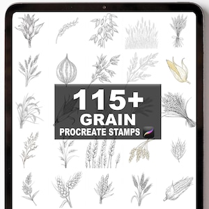 May include: A digital tablet displays a collection of 115+ grain Procreate stamps. The stamps are detailed line drawings of various grains, including wheat, corn, and oats. The illustrations are in black and white, with some featuring subtle yellow and green accents.