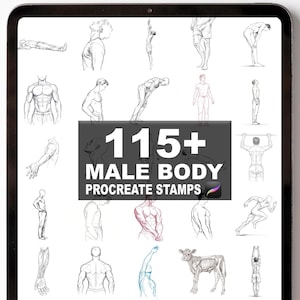 Puede incluir: Una tableta digital muestra bocetos de cuerpos masculinos. La imagen presenta un gráfico central con el texto "115+ MALE BODY PROCREATE STAMPS". Varios dibujos anatómicos en blanco y negro y en color rodean el texto.