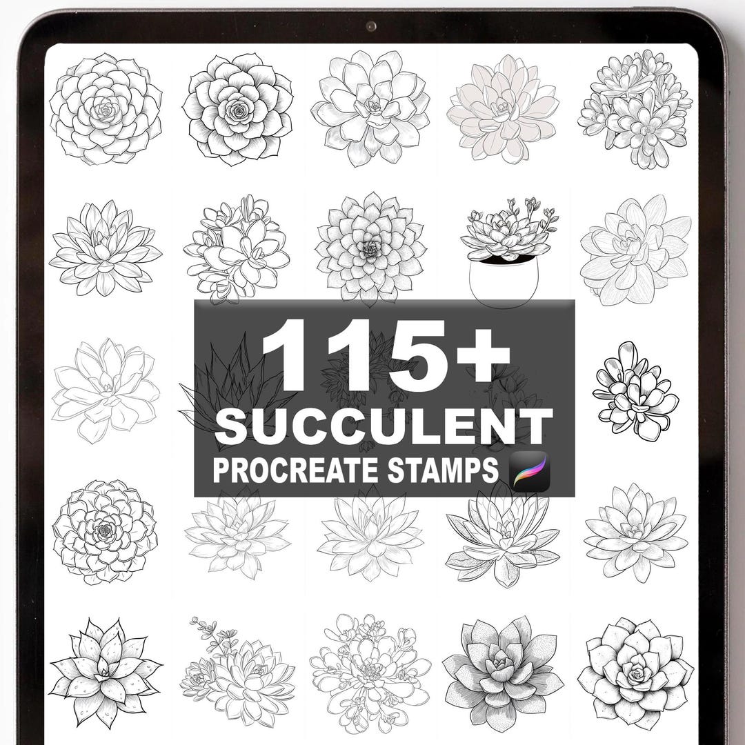 115+ Procreate Succulent (new) Brushes | Procreate Stamps | Instant ...