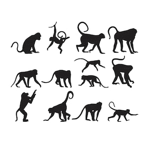 Peut inclure: Une collection de silhouettes de singes noirs dans diverses poses sur fond blanc. Les singes sont représentés dans différentes positions, notamment assis, marchant et suspendus, créant un design dynamique et ludique.