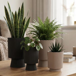 Juno Indoor/Outdoor Planter