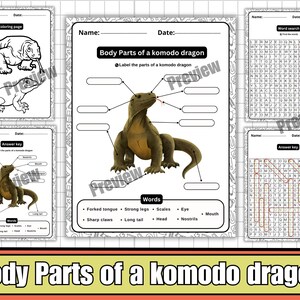 Komodo Dragon Body Parts Labeling Diagram Worksheets, Wordsearch ...