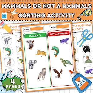 Op de afbeelding: Een kleurrijk educatief activiteitenblad getiteld "Zoogdieren of geen zoogdieren sorteeractiviteit". Het blad bevat illustraties van verschillende dieren, verdeeld in de categorieën "Zoogdieren" en "Geen zoogdieren", met schaar- en lijmpictogrammen.
