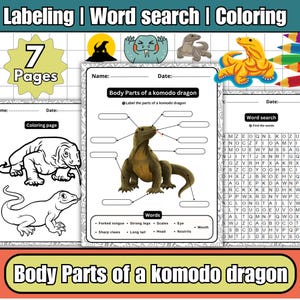 Puede incluir: Un cuaderno de trabajo con el título "Body Parts of a komodo dragon" que presenta actividades de etiquetado, búsqueda de palabras y coloreado. Las páginas incluyen ilustraciones de dragones de Komodo y vocabulario relacionado. La portada muestra el texto "Labeling | Word search | Coloring".