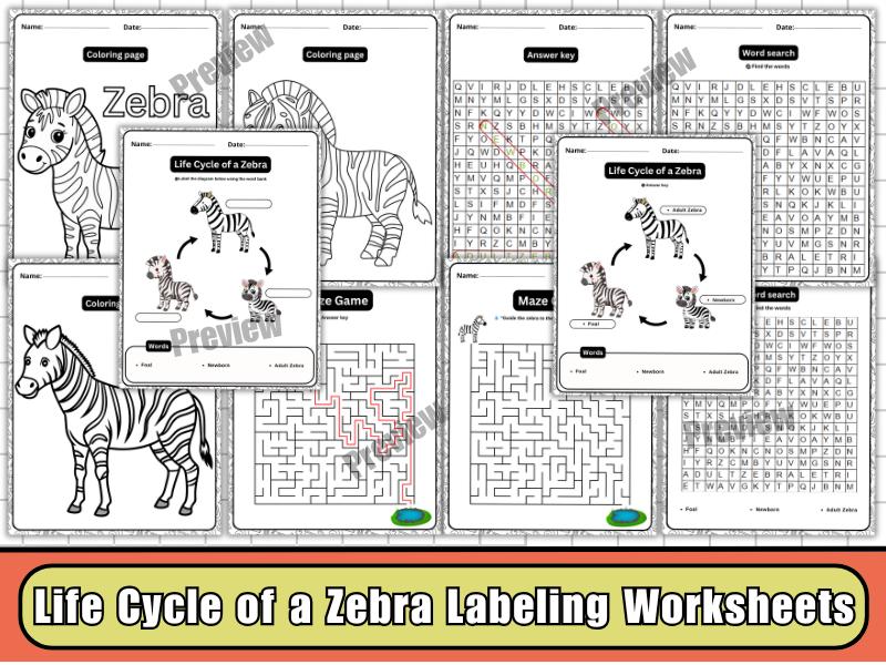 Zebra Life Cycle Activity Pack, Labeled Diagram, Word Search, Maze ...