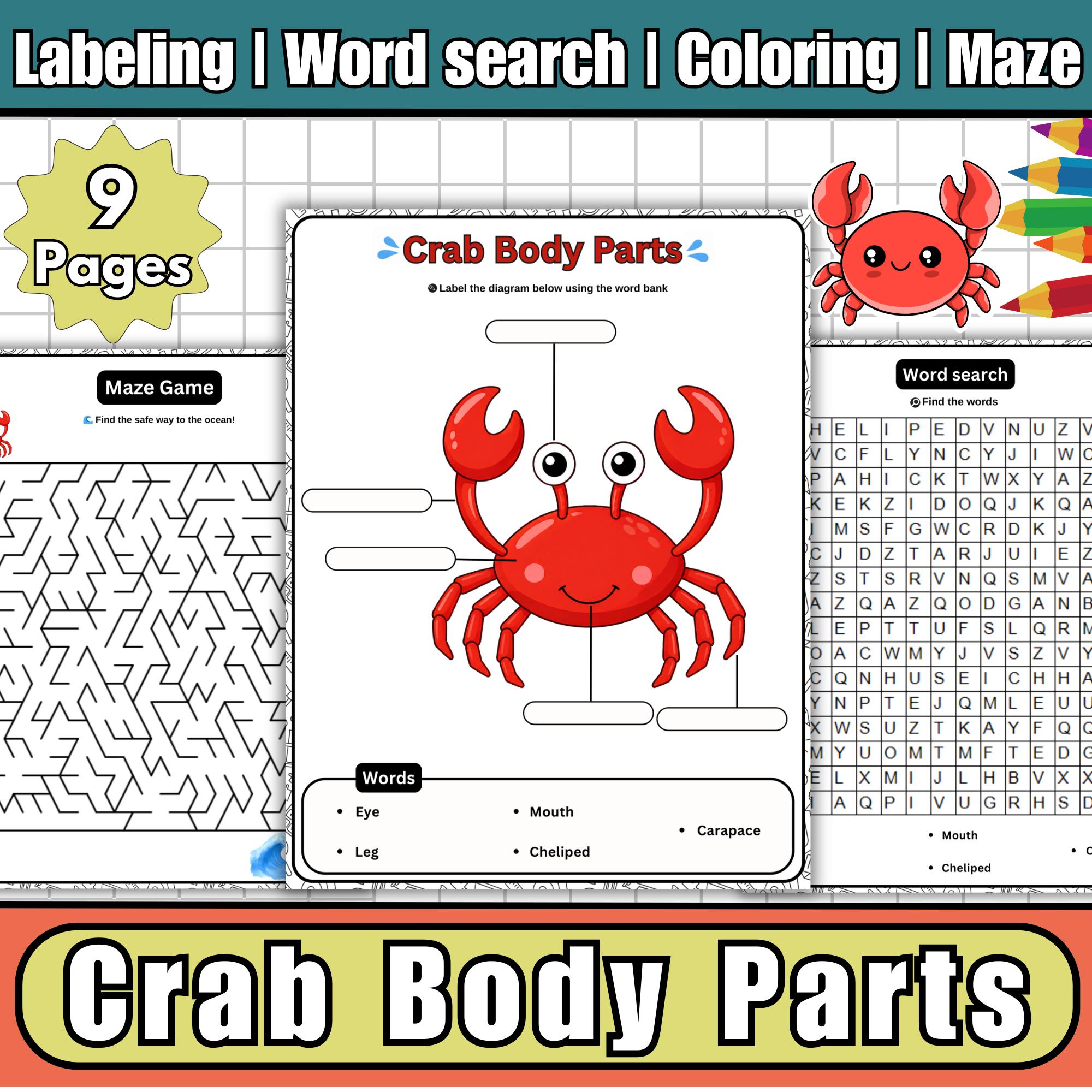 Crab Body Parts Labeled Diagram Worksheets, Wordsearch ,maze, Coloring ...
