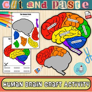 May include: A colorful human brain craft activity with labeled parts, including the frontal, parietal, temporal, and occipital lobes, and cerebellum. The image includes cut-and-paste brain templates, scissors, and glue, with the text "HUMAN BRAIN CRAFT ACTIVITY".