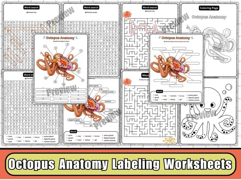 Octopus Exercise Octopus Internal Anatomy Labeled Diagram Worksheets, Wordsearch, Maze ...
