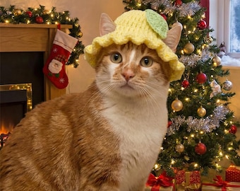 Cat Flower Hat, Crochet Floral Cat Hat, Cute Pet Bonnet Hat, Aesthetic Cat Outfit, Cozy Photo Prop for Cats