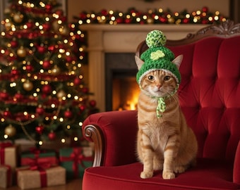 Lucky Cat Hat Costume Cute Green Pet Outfit Funny Cat Photo Prop Animal Accessory Gift