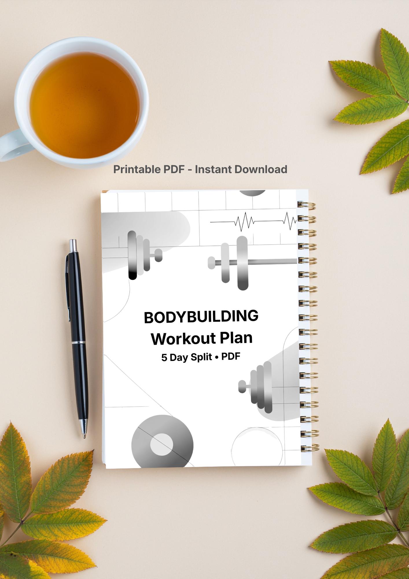 Bodybuilding 5 Day Split Workout Plan | Gym Training Program PDF ...