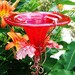 see more listings in the HUMMINGBIRD FEEDERS section